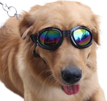 NACOCO Best Dog Goggles 